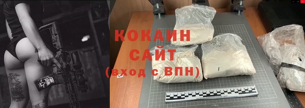 индика Протвино