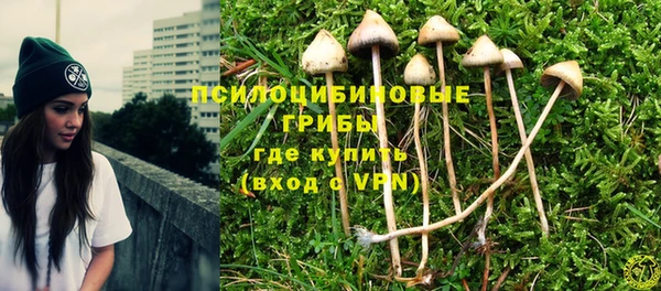 крисы Алексин