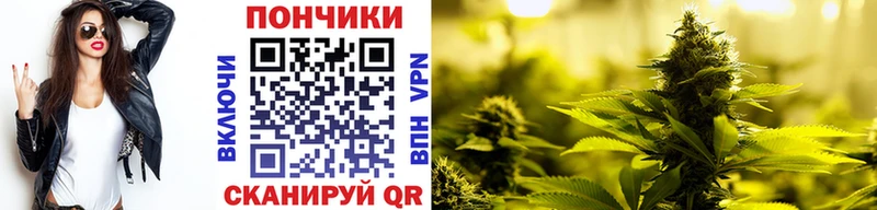Бошки Шишки LSD WEED  Болхов 